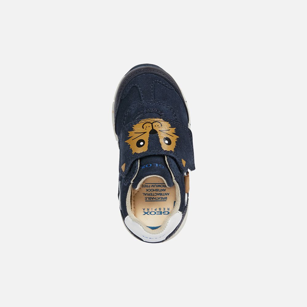 Geox Sneakers Navy Alben Boy - Geox Baby Shoes - PLDNKY849